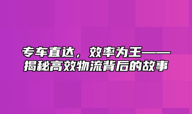 专车直达，效率为王——揭秘高效物流背后的故事