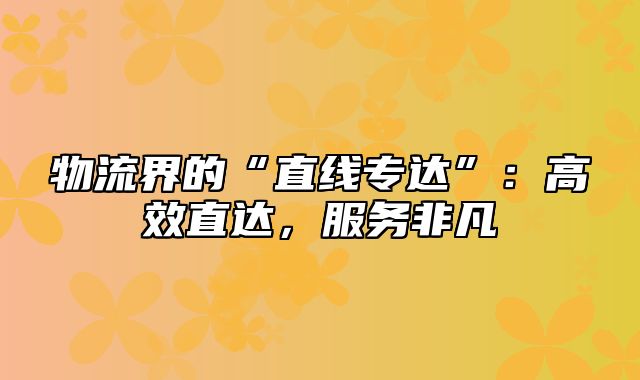 物流界的“直线专达”：高效直达，服务非凡