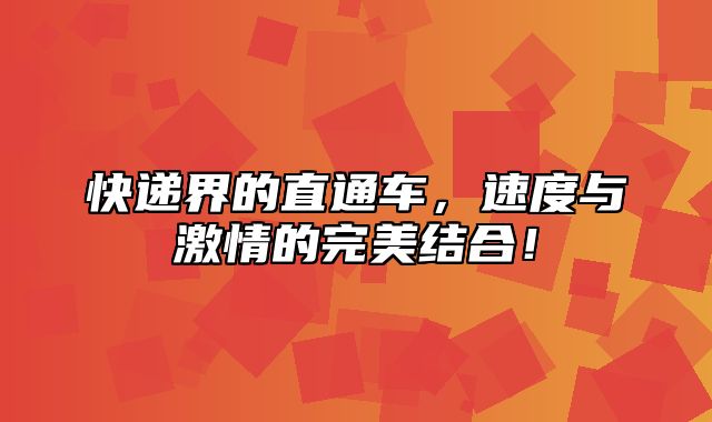 快递界的直通车，速度与激情的完美结合！