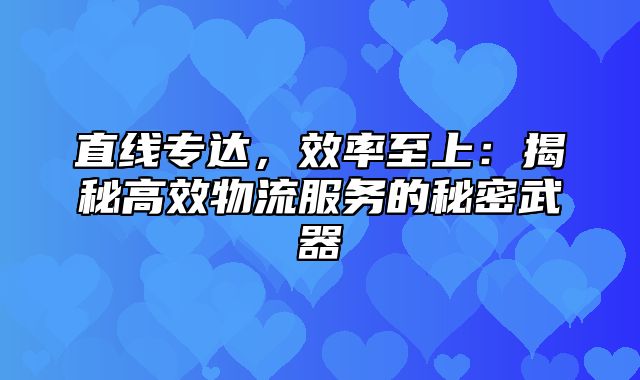 直线专达，效率至上：揭秘高效物流服务的秘密武器