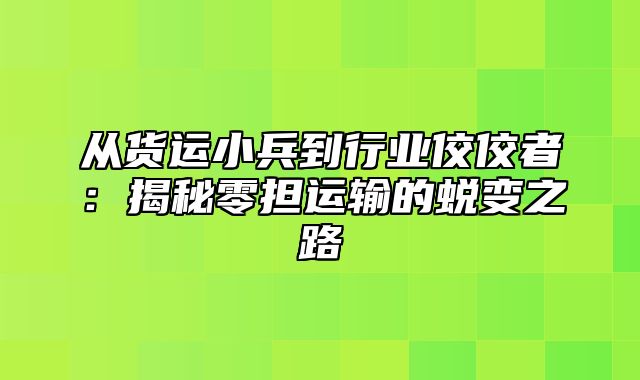从货运小兵到行业佼佼者：揭秘零担运输的蜕变之路