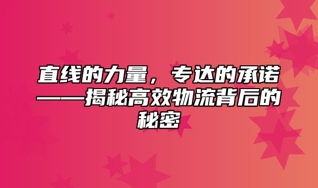 直线的力量，专达的承诺——揭秘高效物流背后的秘密