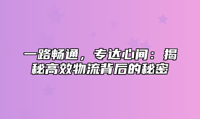 一路畅通，专达心间：揭秘高效物流背后的秘密