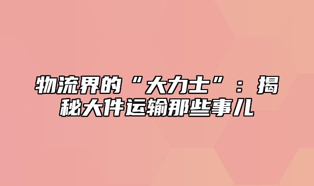 物流界的“大力士”：揭秘大件运输那些事儿