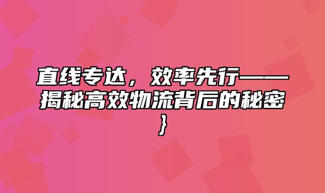 直线专达，效率先行——揭秘高效物流背后的秘密}
