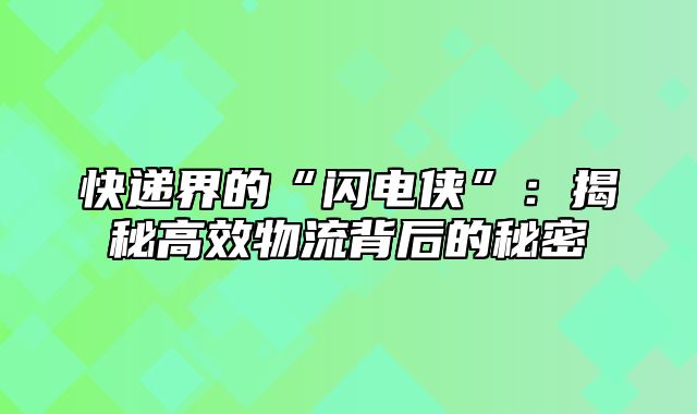 快递界的“闪电侠”：揭秘高效物流背后的秘密
