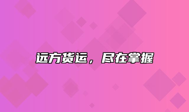 远方货运，尽在掌握