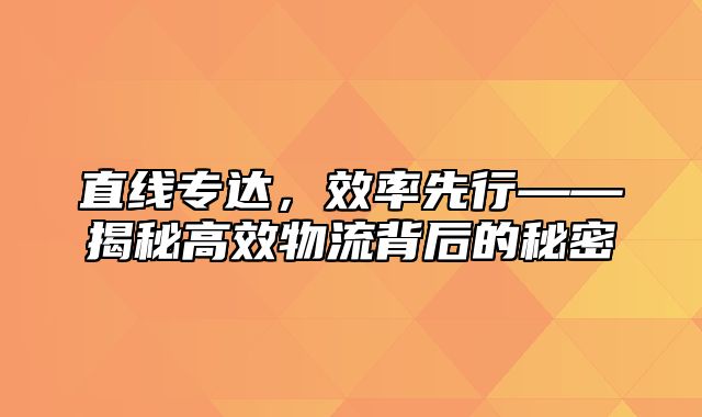直线专达，效率先行——揭秘高效物流背后的秘密