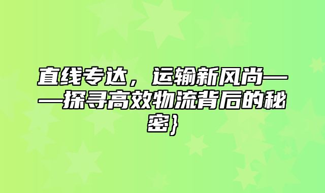 直线专达，运输新风尚——探寻高效物流背后的秘密}