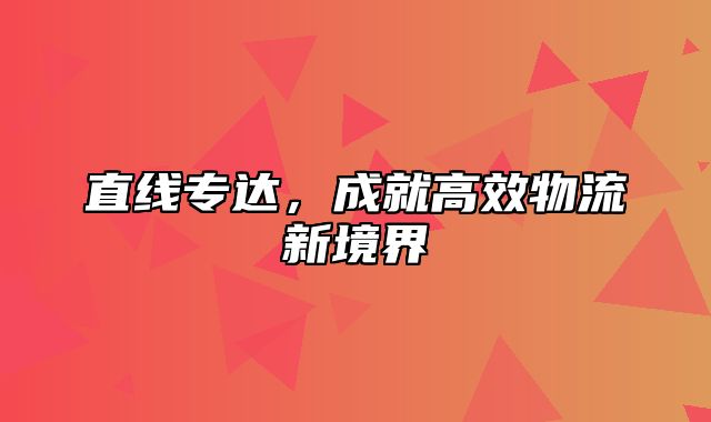直线专达，成就高效物流新境界