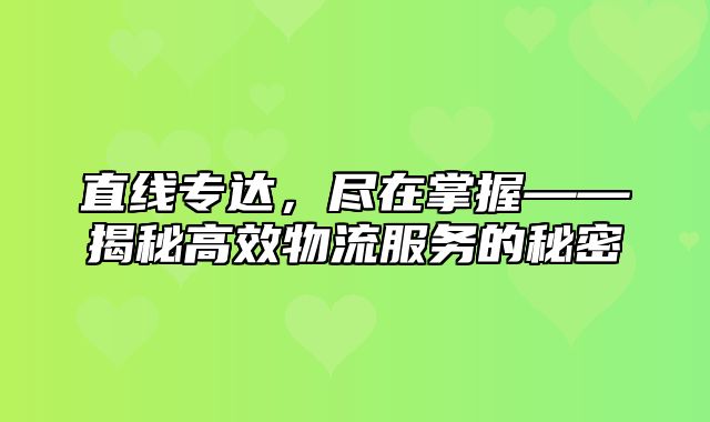 直线专达，尽在掌握——揭秘高效物流服务的秘密