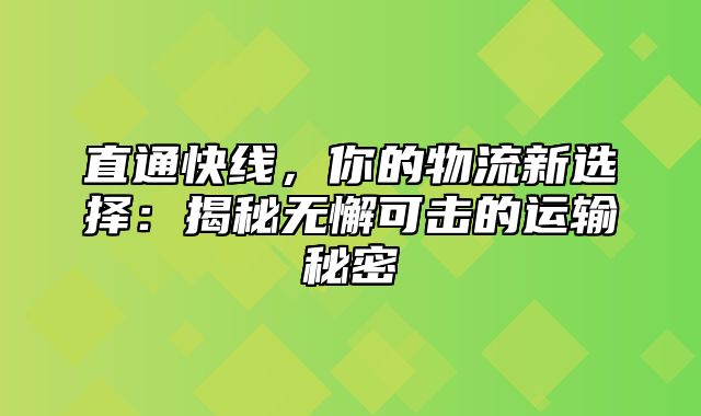直通快线，你的物流新选择：揭秘无懈可击的运输秘密
