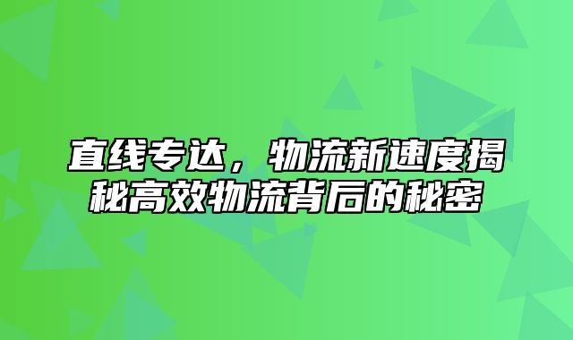 直线专达，物流新速度揭秘高效物流背后的秘密
