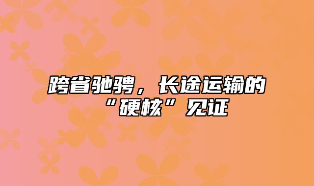 跨省驰骋，长途运输的“硬核”见证