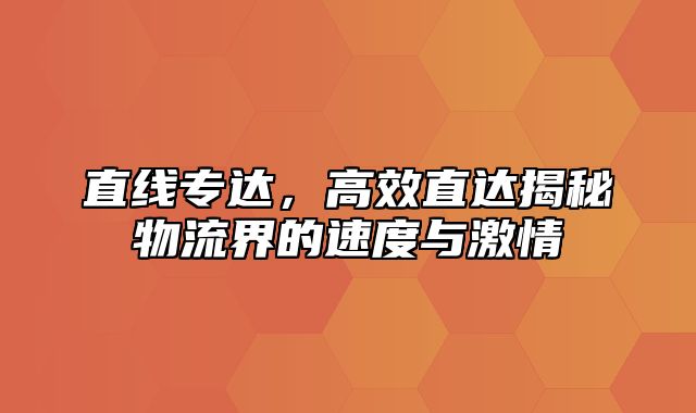 直线专达，高效直达揭秘物流界的速度与激情