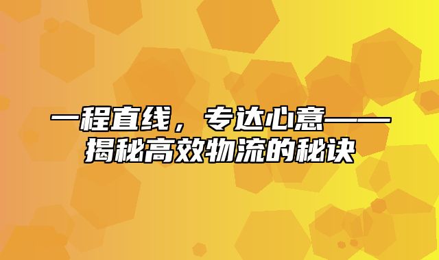 一程直线，专达心意——揭秘高效物流的秘诀