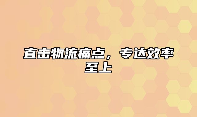 直击物流痛点，专达效率至上