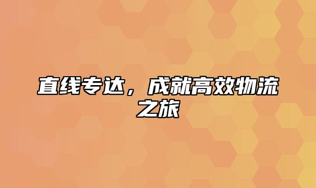 直线专达，成就高效物流之旅