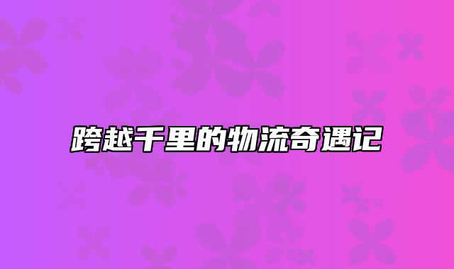 跨越千里的物流奇遇记
