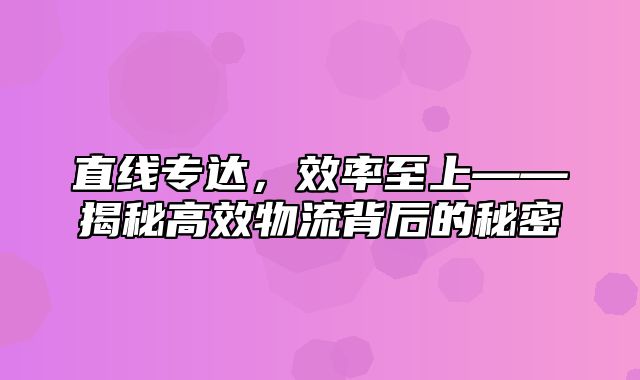 直线专达，效率至上——揭秘高效物流背后的秘密
