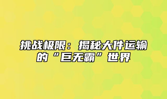 挑战极限：揭秘大件运输的“巨无霸”世界