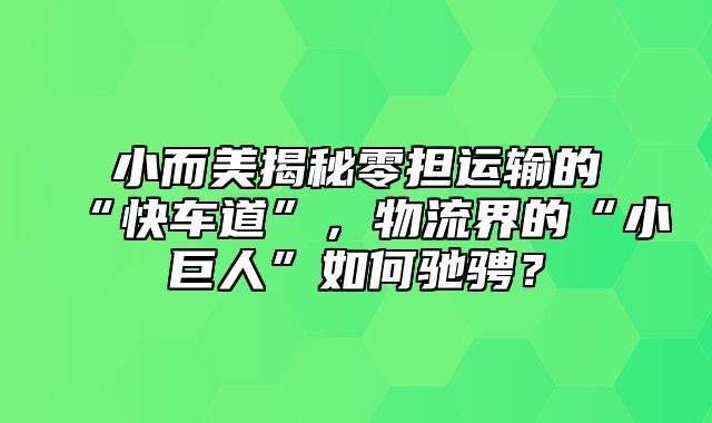 小而美揭秘零担运输的“快车道”，物流界的“小巨人”如何驰骋？