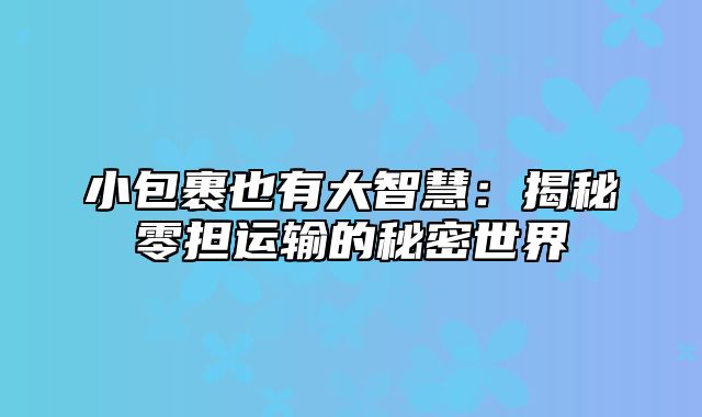 小包裹也有大智慧：揭秘零担运输的秘密世界