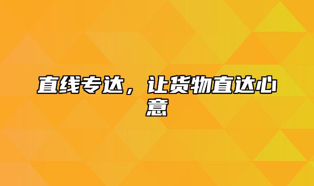 直线专达，让货物直达心意