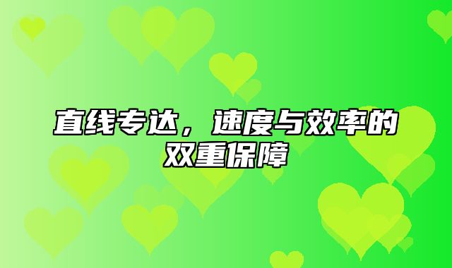 直线专达，速度与效率的双重保障