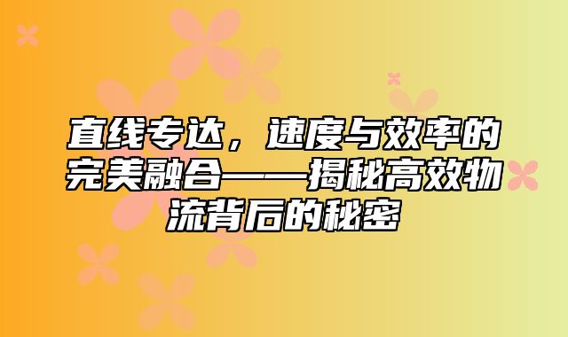 直线专达，速度与效率的完美融合——揭秘高效物流背后的秘密