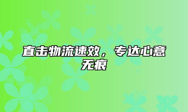 直击物流速效，专达心意无痕