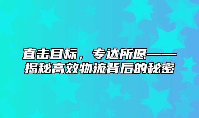 直击目标，专达所愿——揭秘高效物流背后的秘密