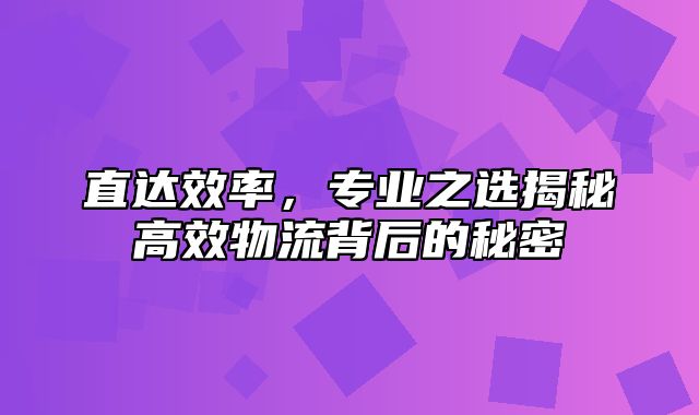 直达效率，专业之选揭秘高效物流背后的秘密