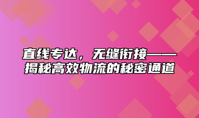 直线专达，无缝衔接——揭秘高效物流的秘密通道