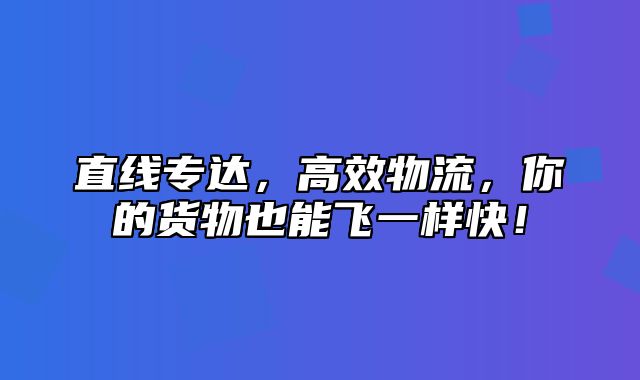 直线专达，高效物流，你的货物也能飞一样快！
