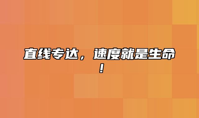 直线专达，速度就是生命！