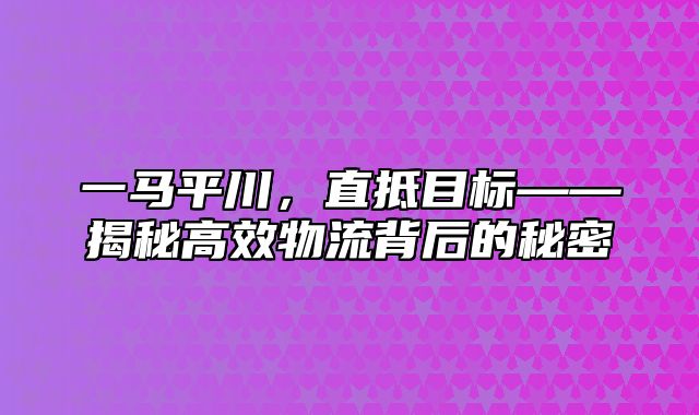 一马平川，直抵目标——揭秘高效物流背后的秘密