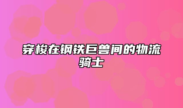 穿梭在钢铁巨兽间的物流骑士