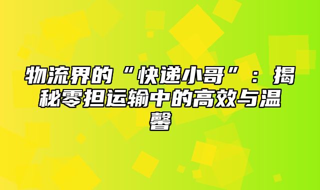 物流界的“快递小哥”：揭秘零担运输中的高效与温馨