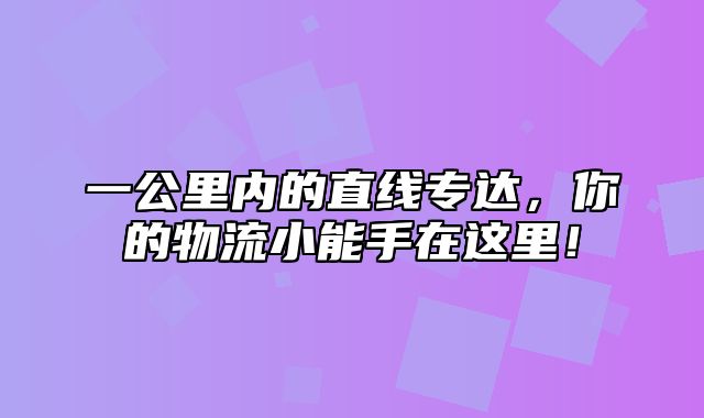 一公里内的直线专达，你的物流小能手在这里！