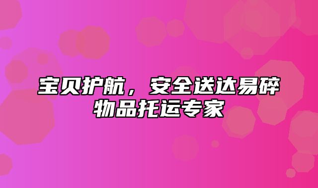 宝贝护航，安全送达易碎物品托运专家
