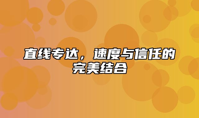 直线专达，速度与信任的完美结合