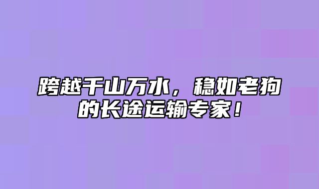 跨越千山万水，稳如老狗的长途运输专家！