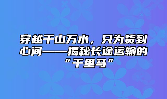 穿越千山万水，只为货到心间——揭秘长途运输的“千里马”