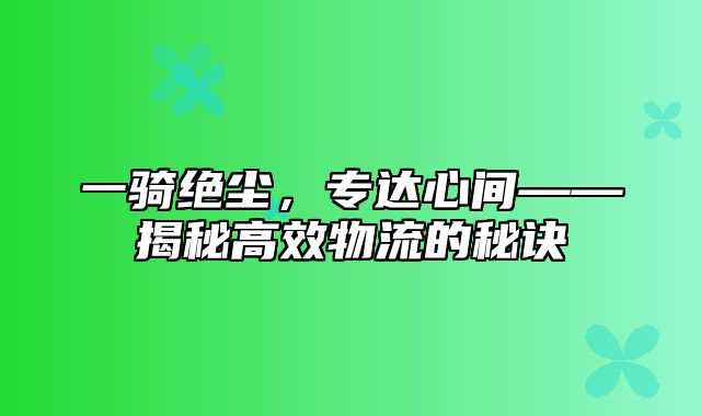 一骑绝尘，专达心间——揭秘高效物流的秘诀