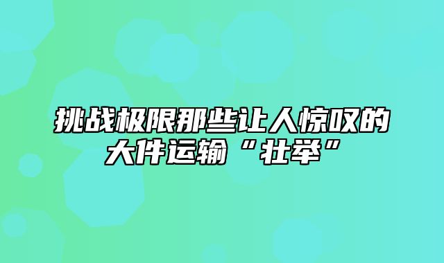 挑战极限那些让人惊叹的大件运输“壮举”