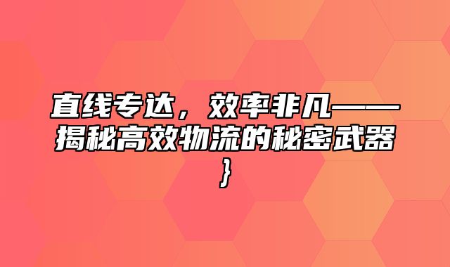 直线专达，效率非凡——揭秘高效物流的秘密武器}