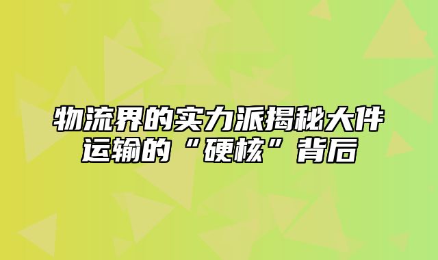 物流界的实力派揭秘大件运输的“硬核”背后