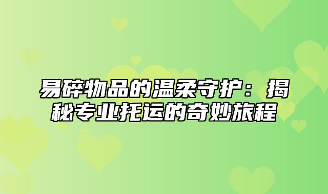 易碎物品的温柔守护：揭秘专业托运的奇妙旅程