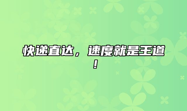 快递直达，速度就是王道！